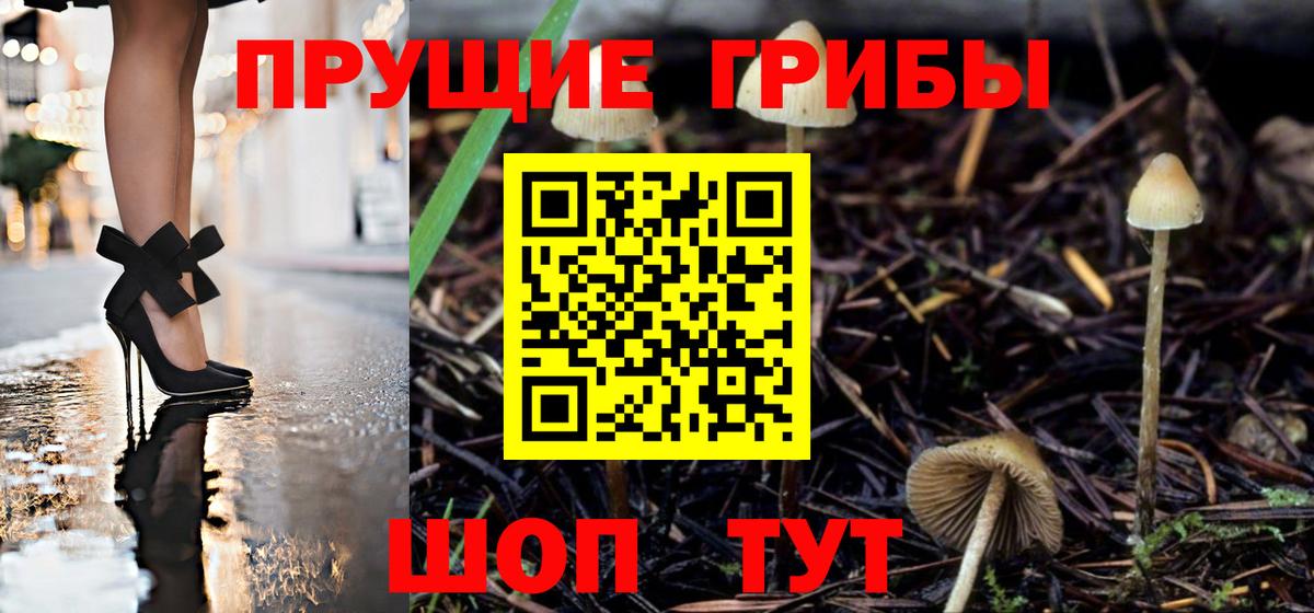 Галлюциногенные грибы Psilocybe Ивантеевка