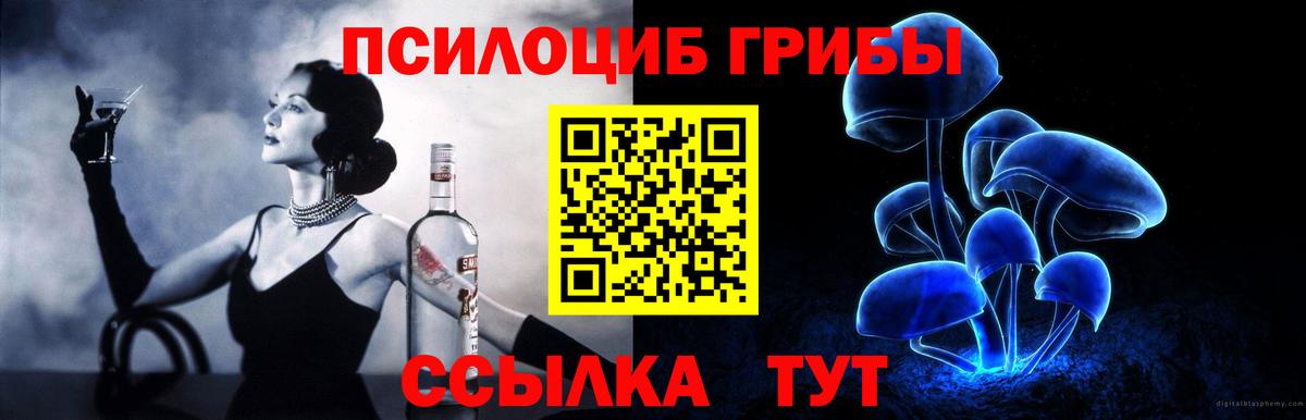 Ивантеевка  Галлюциногенные грибы Cubensis  Вход с VPN 